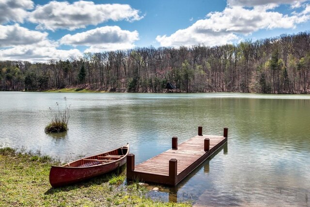 8 Long Mountain Trl, Mcminnville, TN 37110 - photo 48