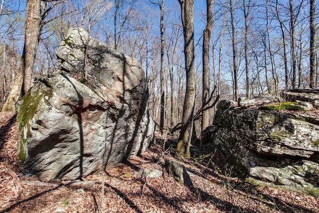8 Long Mountain Trl, Mcminnville, TN 37110 - photo 7
