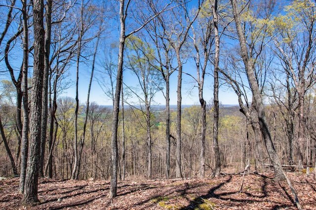 8 Long Mountain Trl, Mcminnville, TN 37110 - photo 11