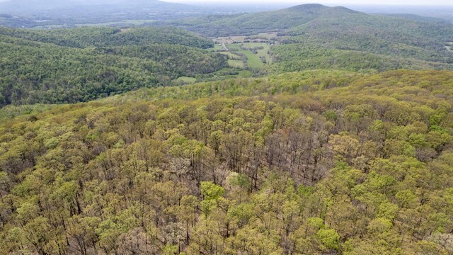 8 Long Mountain Trl, Mcminnville, TN 37110 - photo 34