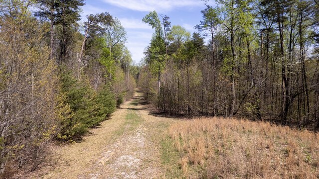 8 Long Mountain Trl, Mcminnville, TN 37110 - photo 38