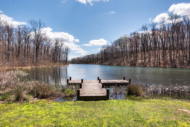 8 Long Mountain Trl, Mcminnville, TN 37110 - photo 24