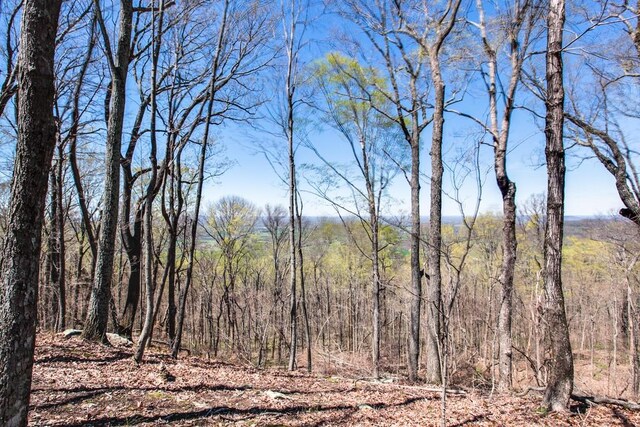 8 Long Mountain Trl, Mcminnville, TN 37110 - photo 58