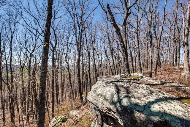 8 Long Mountain Trl, Mcminnville, TN 37110 - photo 13