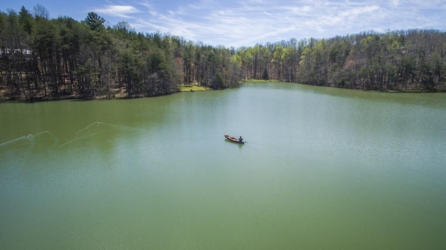 8 Long Mountain Trl, Mcminnville, TN 37110 - photo 2
