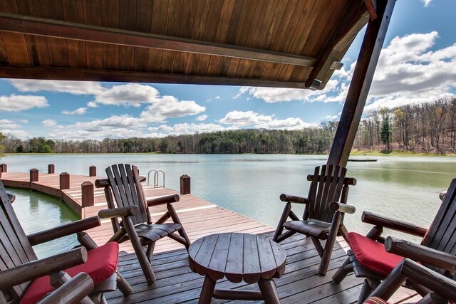 8 Long Mountain Trl, Mcminnville, TN 37110 - photo 17