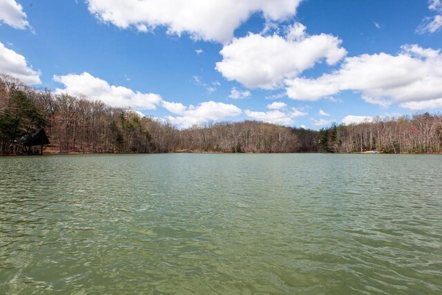 8 Long Mountain Trl, Mcminnville, TN 37110 - photo 50