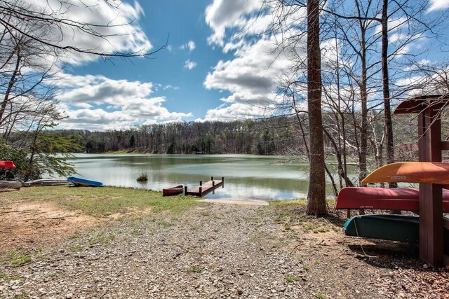 8 Long Mountain Trl, Mcminnville, TN 37110 - photo 49
