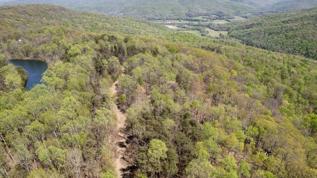 8 Long Mountain Trl, Mcminnville, TN 37110 - photo 42
