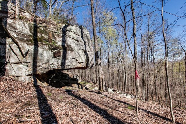 8 Long Mountain Trl, Mcminnville, TN 37110 - photo 6