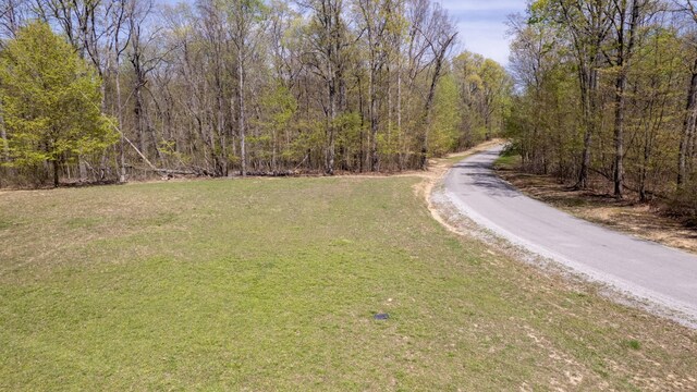8 Long Mountain Trl, Mcminnville, TN 37110 - photo 36