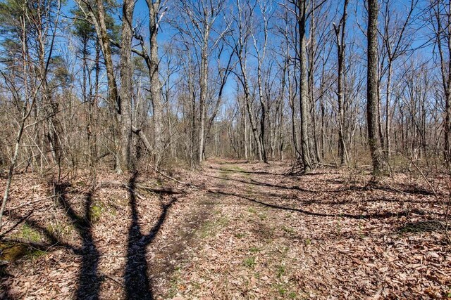 8 Long Mountain Trl, Mcminnville, TN 37110 - photo 62