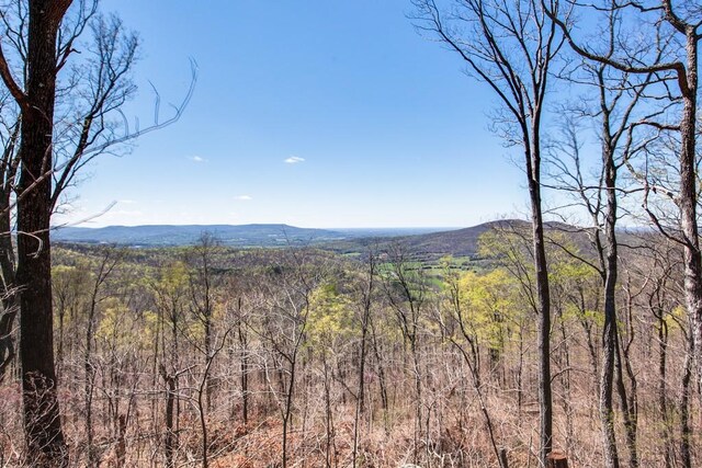 8 Long Mountain Trl, Mcminnville, TN 37110 - photo 60