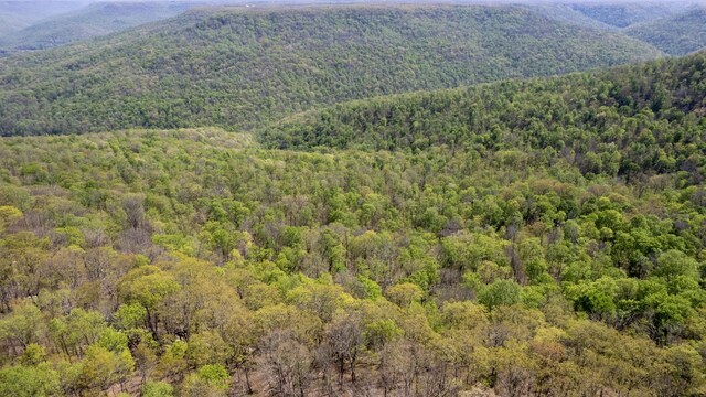 8 Long Mountain Trl, Mcminnville, TN 37110 - photo 40