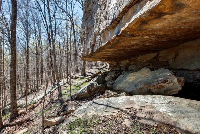 8 Long Mountain Trl, Mcminnville, TN 37110 - photo 4