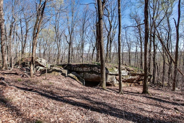 8 Long Mountain Trl, Mcminnville, TN 37110 - photo 8