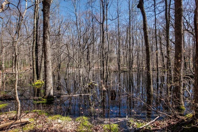 8 Long Mountain Trl, Mcminnville, TN 37110 - photo 12