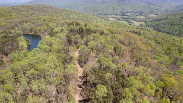 8 Long Mountain Trl, Mcminnville, TN 37110 - photo 39