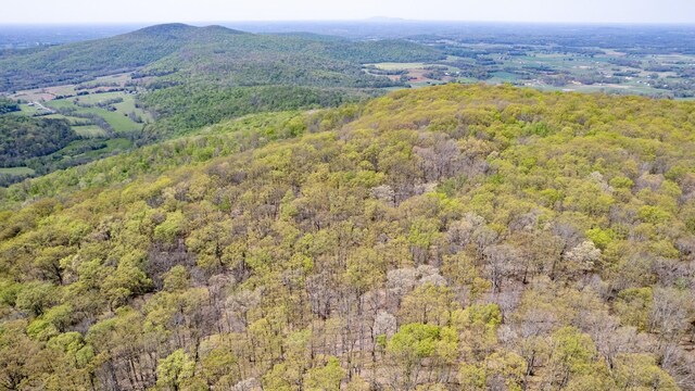 8 Long Mountain Trl, Mcminnville, TN 37110 - photo 31