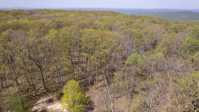 8 Long Mountain Trl, Mcminnville, TN 37110 - photo 35