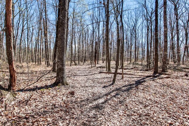 8 Long Mountain Trl, Mcminnville, TN 37110 - photo 59