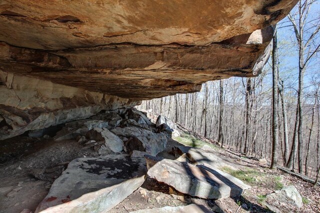 8 Long Mountain Trl, Mcminnville, TN 37110 - photo 3