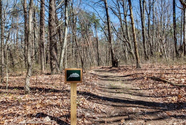 8 Long Mountain Trl, Mcminnville, TN 37110 - photo 14