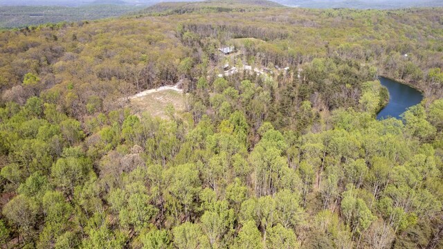 8 Long Mountain Trl, Mcminnville, TN 37110 - photo 41