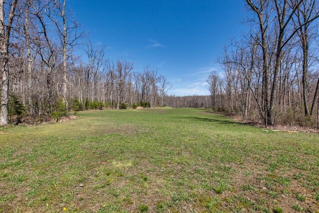 8 Long Mountain Trl, Mcminnville, TN 37110 - photo 61