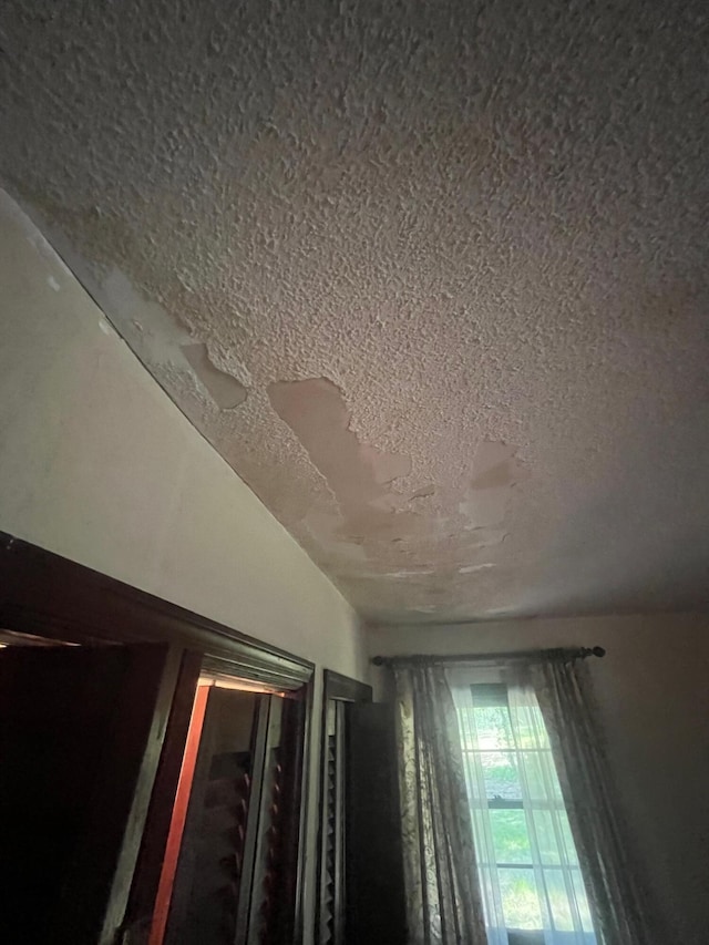 details with a textured ceiling