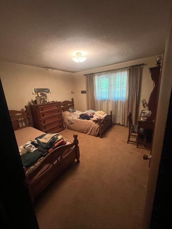 bedroom featuring carpet floors and a textured ceiling