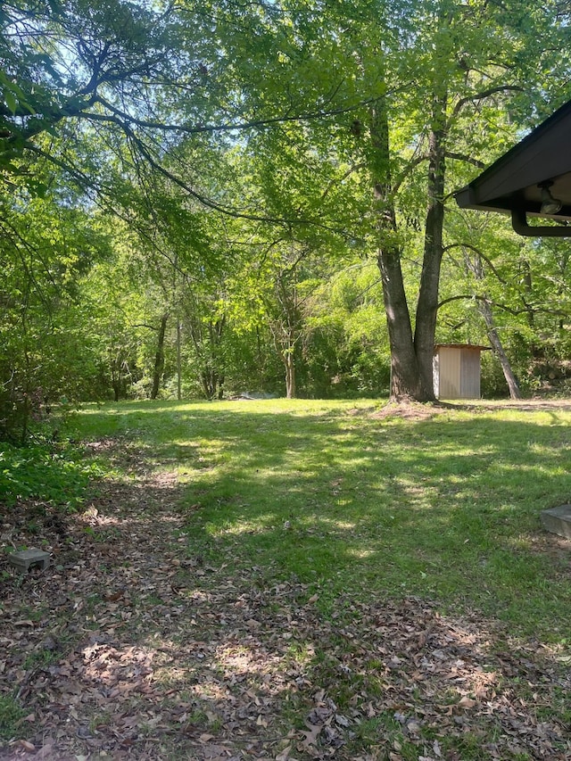 view of yard with an outdoor structure, a shed, and a wooded view