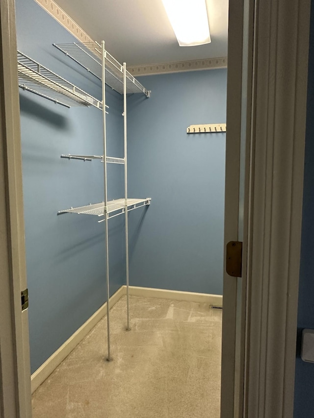 walk in closet featuring carpet flooring