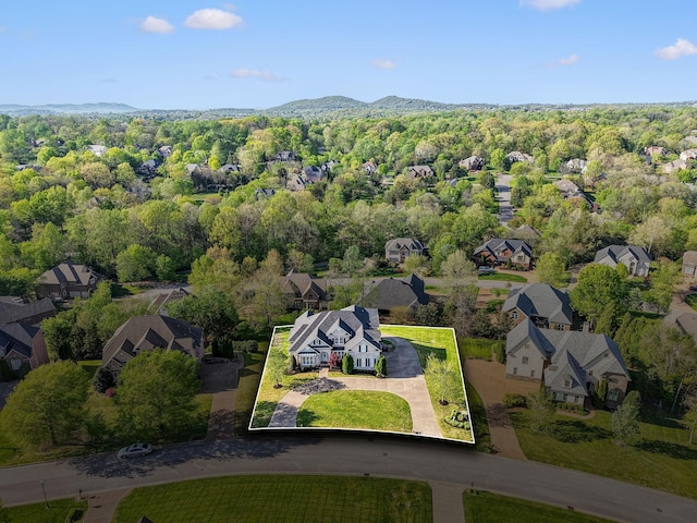 385 Childe Harolds Cir, Brentwood, TN 37027 - photo 65