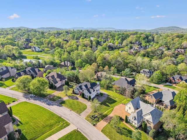 385 Childe Harolds Cir, Brentwood, TN 37027 - photo 66