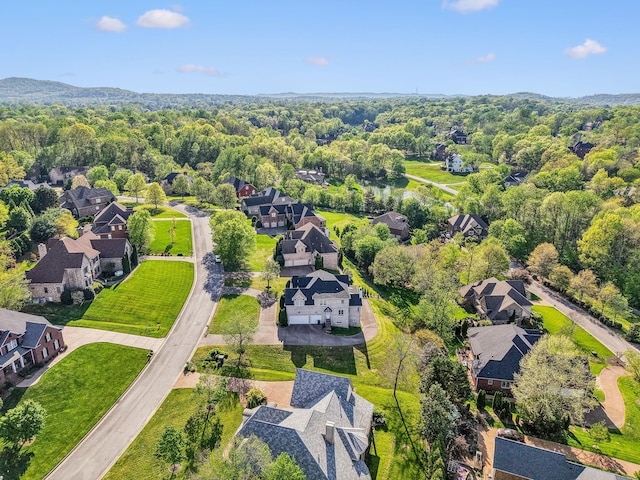 385 Childe Harolds Cir, Brentwood, TN 37027 - photo 67