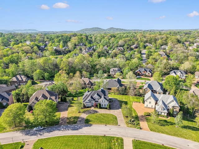 385 Childe Harolds Cir, Brentwood, TN 37027 - photo 64
