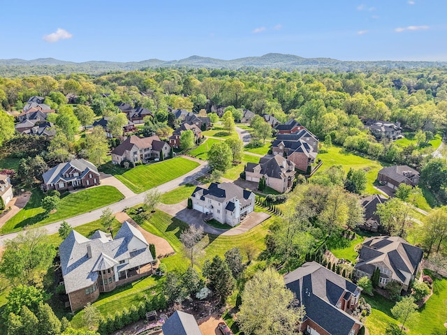 385 Childe Harolds Cir, Brentwood, TN 37027 - photo 68