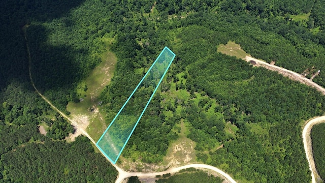 0 Cox Hollow Rd Unit B, Dover, TN 37058 - photo 2