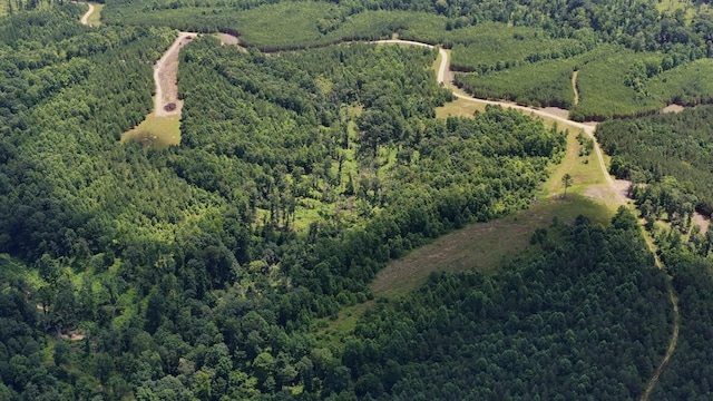 0 Cox Hollow Rd Unit B, Dover, TN 37058 - photo 20