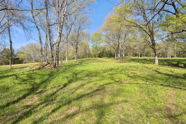 443 Molino Rd, Fayetteville, TN 37334 - photo 28