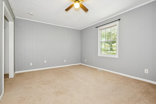443 Molino Rd, Fayetteville, TN 37334 - photo 11