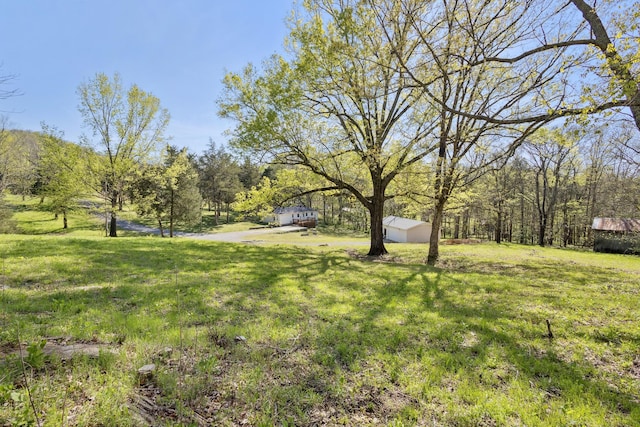 443 Molino Rd, Fayetteville, TN 37334 - photo 29