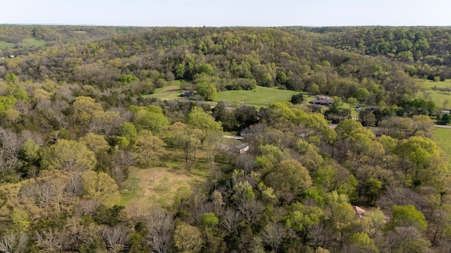 443 Molino Rd, Fayetteville, TN 37334 - photo 40