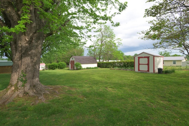 107 Hillis St, Mcminnville, TN 37110 - view of yard featuring a storage unit and an outbuilding