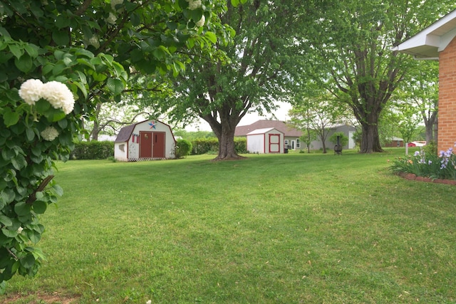 107 Hillis St, Mcminnville, TN 37110 - view of yard with an outbuilding and a storage unit