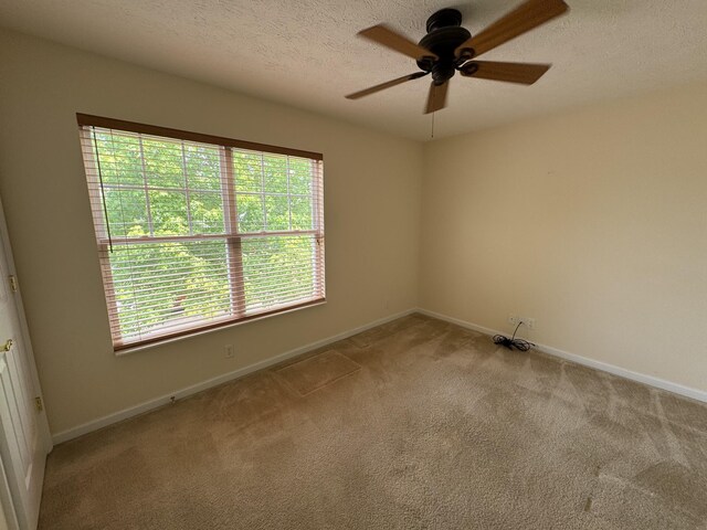 1019 Lexington Farms Dr, Spring Hill, TN 37174 - photo 18