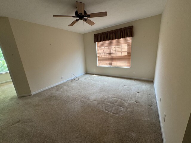 1019 Lexington Farms Dr, Spring Hill, TN 37174 - photo 19