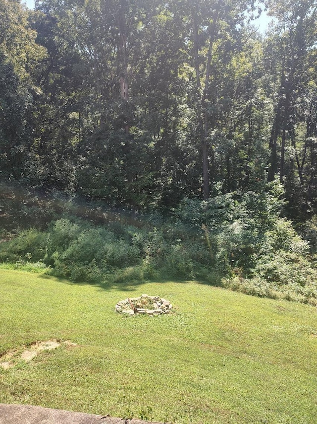 view of yard featuring a fire pit