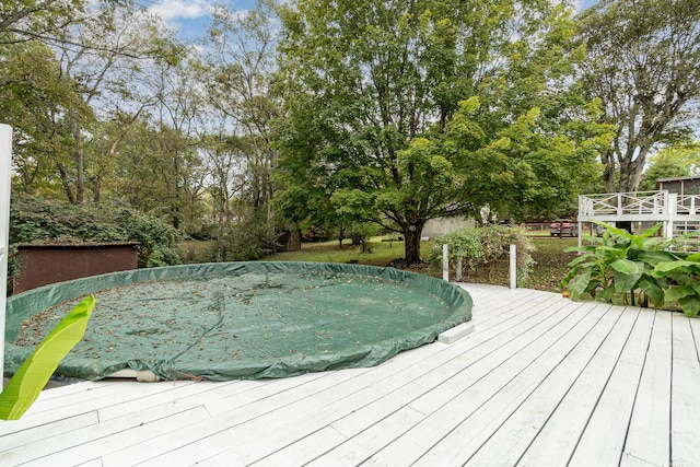 828 Lemont Dr, Nashville, TN 37216 - photo 24